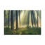No Frame Print on Canvas-527625871