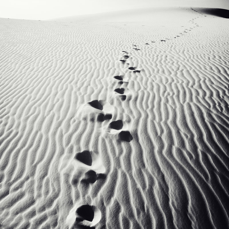 White Sands National Monument par Powerofforever, H 20 po x l 20 po