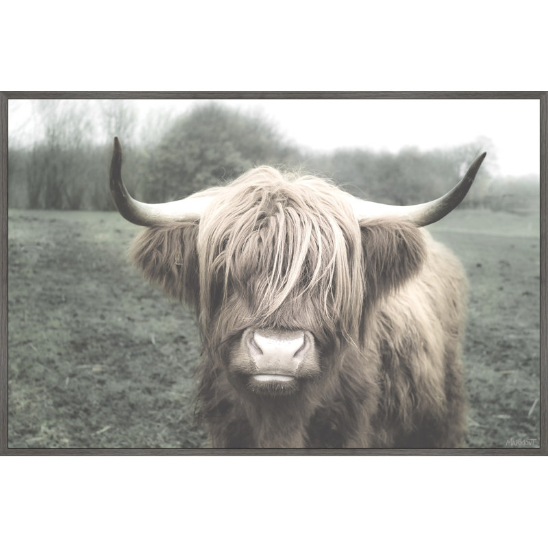 Shaggy Cattle Hair - Print, Floater Grey Framed Canvas, 30cm H x 30cm W x 3.81cm D
