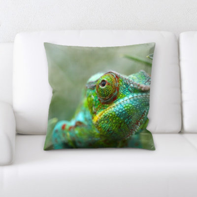 All Colours (205) Pillow