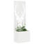 Planter Box-1069634425-1069634429