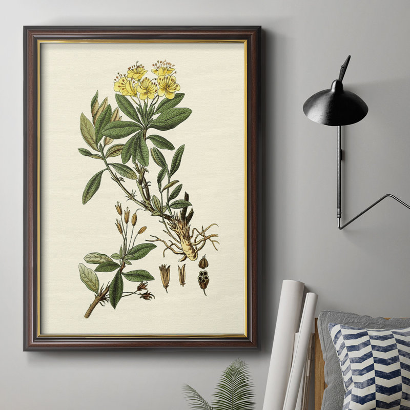Toile encadrée de qualité supérieure Olive Greenery IV - prête à être accrochée, H 36 po x l 24 po x P 2,5 po