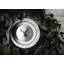 Life 23.3cm Porcelain Dinner Plate