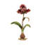 Renee Tulip Objet