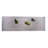 High Angle View Of Moss On Three Stones In A Zen Garden, Washington Park, Portland, Oregon, Usa by Panoramic Images - No Frame Panoramic Print on Canvas-1356949206
