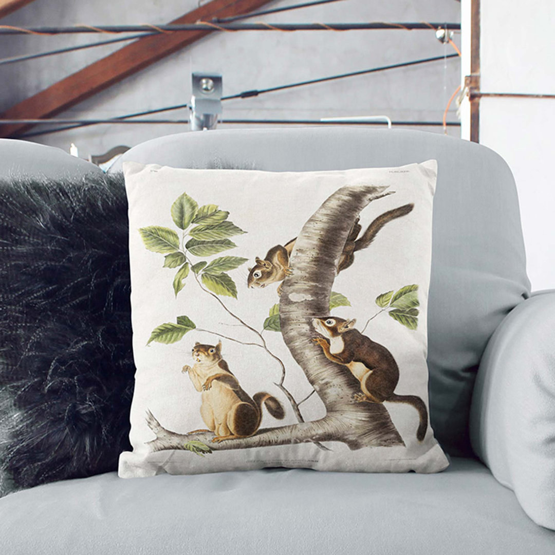 Douglass's Squirrels by J.W. Audubon Cushion with Filling