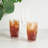 Shatterproof Acrylic Highball Tumblers