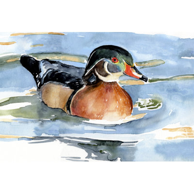Watercolour Woodduck II - Painting