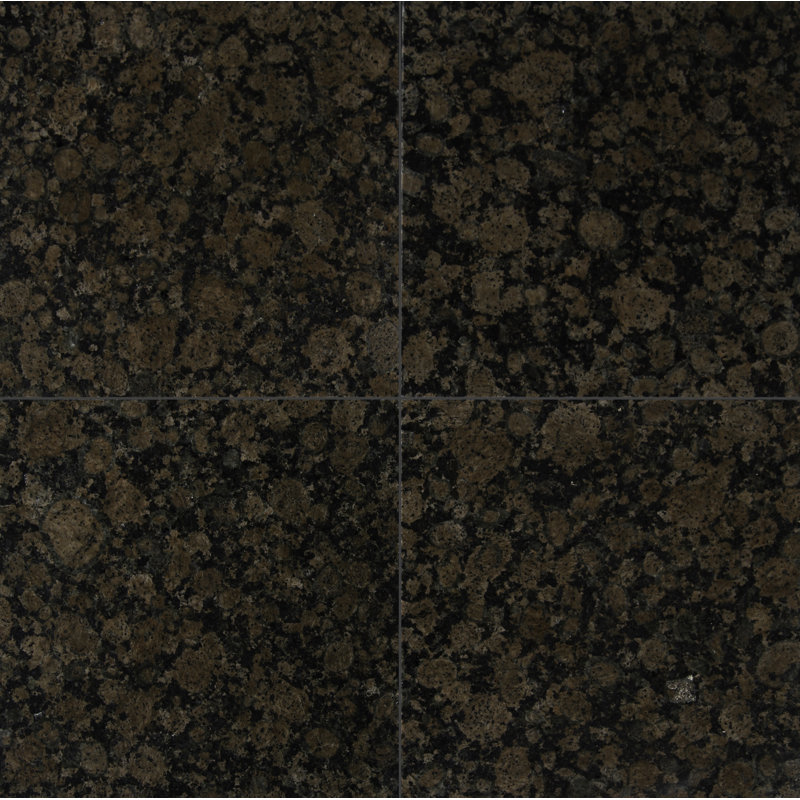 Baltic Brown 12 in.x 12 in. Polished Granite Floor and Wall Tile