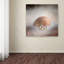 «Sea Shell and Pearls» de Vidur, impression sur toile tendue-22073589