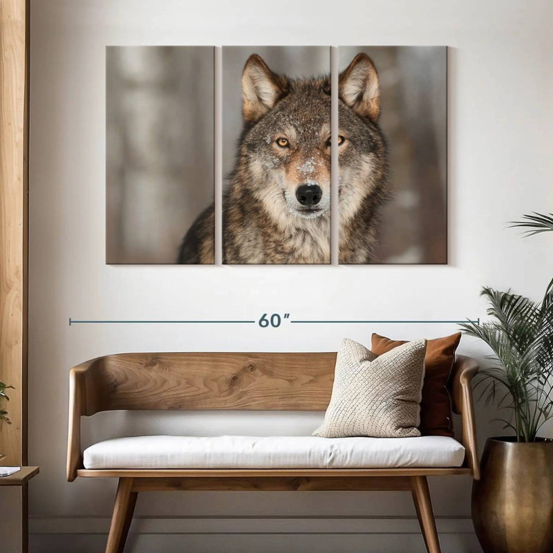 Gray Wolf Stare, 32" H x 50" W