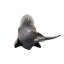 Sculpture Ruthanne Rhonda-39884621