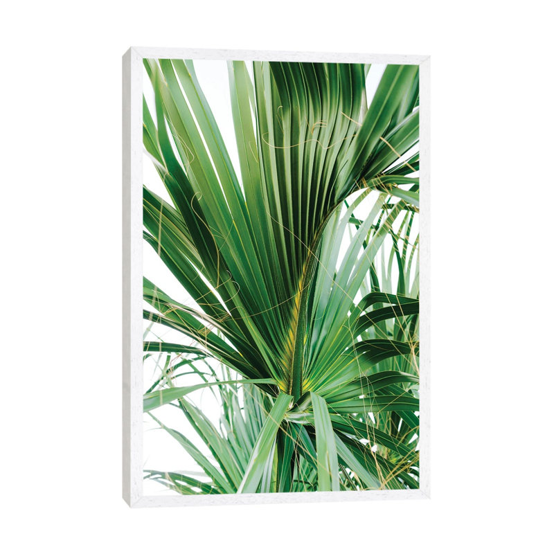 Hilton Head Island V by Bethany Young - Print on Canvas, White Framed, 101.6cm H x 66.04cm W x 3.81cm D