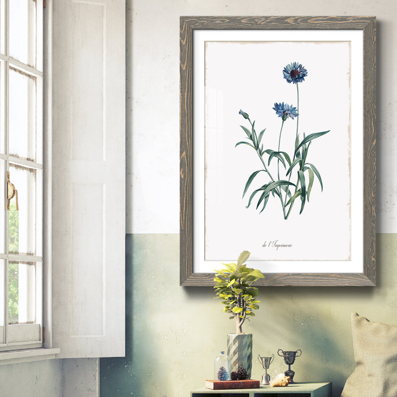 Orchidées au paradis I - Cadre photo, reproduction d'art sur papier, Cadre en papier gris, H 44 po x l 31 po x P 1 po
