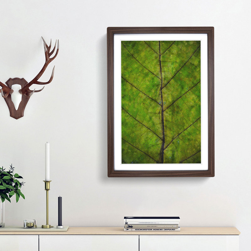 Leaf Lines - Framed Print, 33cm H x 24cm W x 2cm D, Walnut Framed