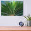 «Tropical III» par Dennis Frates-1395415184
