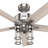 Hunter 52 inch Astwood II Ceiling Fan with Lights and Remote-110404137