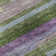 Premium Machine Washable Prisco Cactus Rug