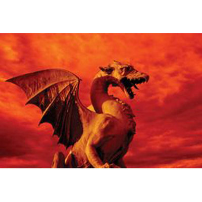 Dragon rouge brillant