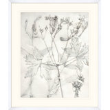 Painted Pressed Floral 2 Print