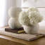 Kayli Terracotta Table Vase