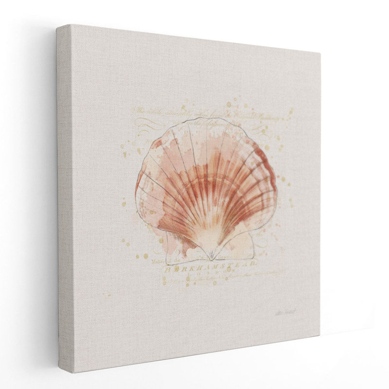 «Shell Collector IV», reproduction d'art sur toile, H 20 po x l 20 po