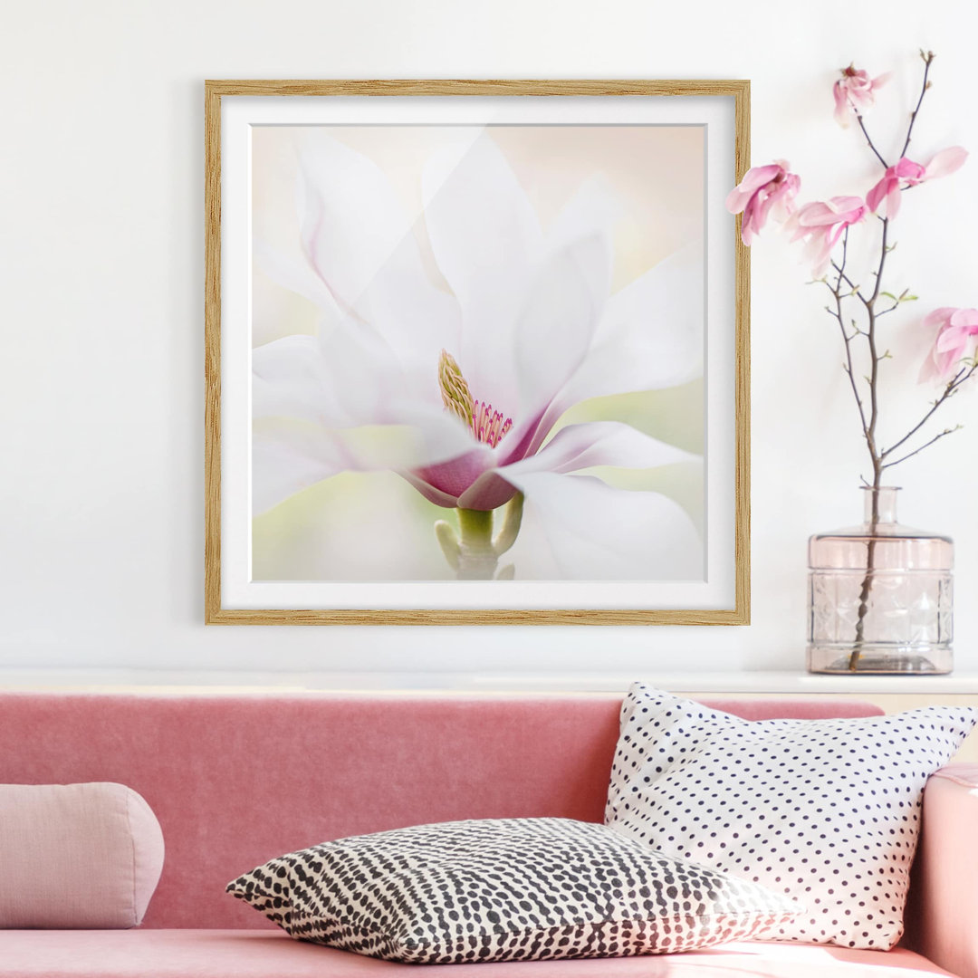 Gerahmtes Papierbild Zarte Magnolienblüte