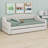Upholstered Daybed With LED Belt And Trundle-893304147