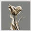 Grey Luster Tulip - Wrapped Canvas Print-821892700