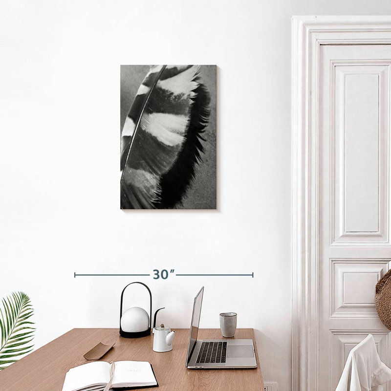 Plume Kerner Shadow II, H 24 po x l 16 po