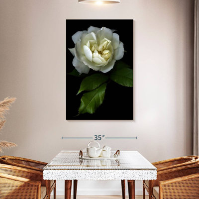 Harnek Lone White Rose