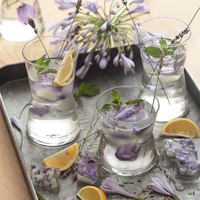 LAV - Derin Glassware Set - 12pc