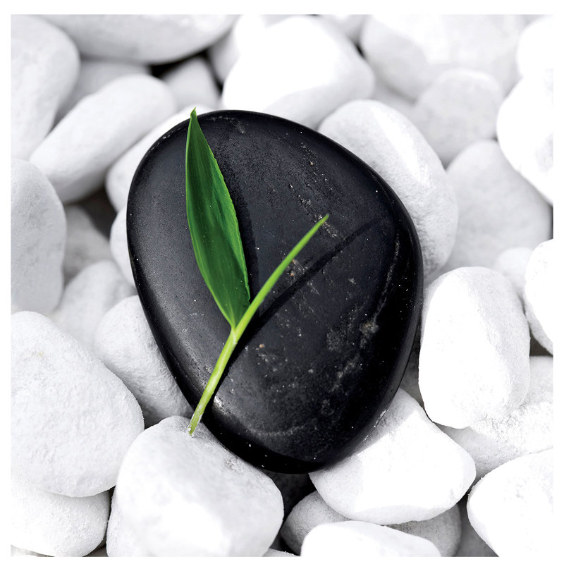 Zen Stone by PhotoINC Studio - Cannvas Print on Canvas, 30.48 cm H x 30.48 cm W, Wrapped Canvas