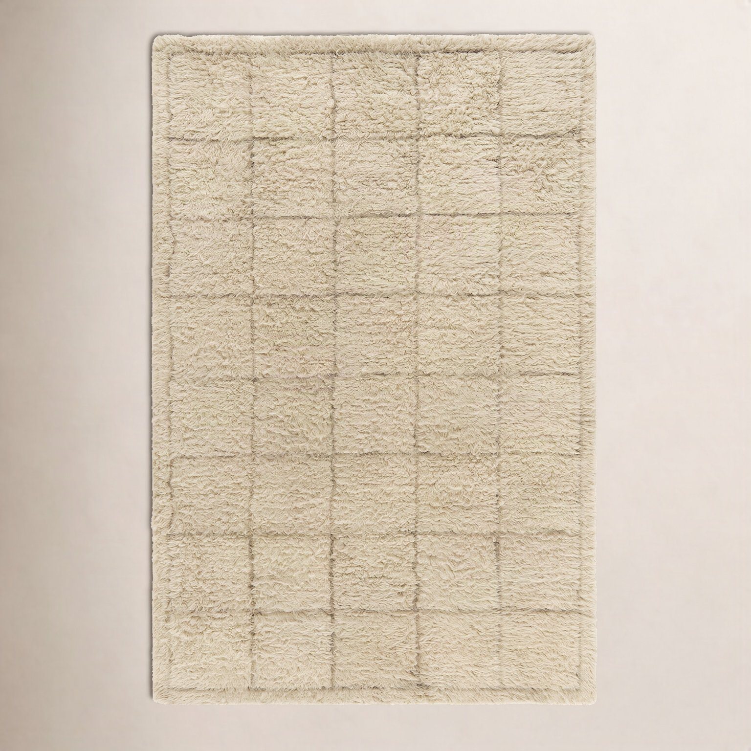 Anemone Hand-Tufted Grid Shag Rug, Rectangle 2' x 3'