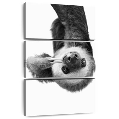 Brampt Sloth BW
