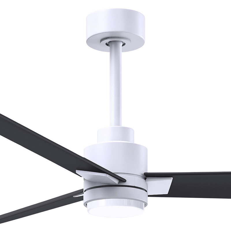 Alessandra - Three Blade Transitional Ceiling Fan -LED, Matte White, 56", Matte Black