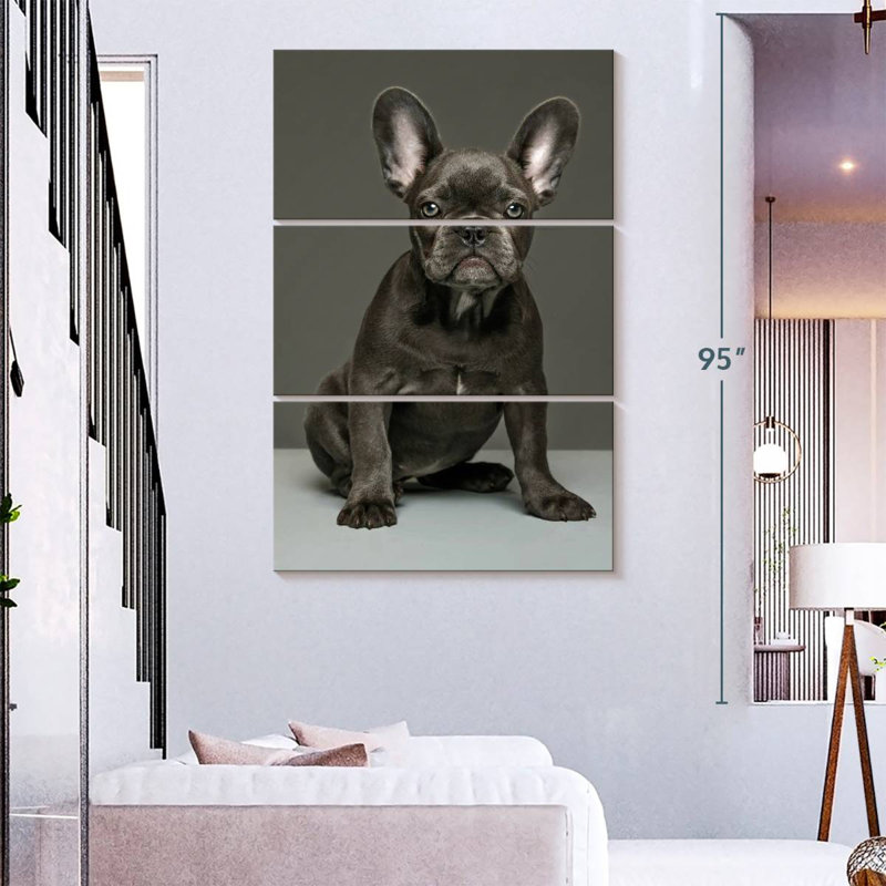 Chiot bouledogue français Brampt, H 74 po x l 48 po