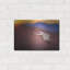 «Sunset Flight» par Jonathan Ross-975610956