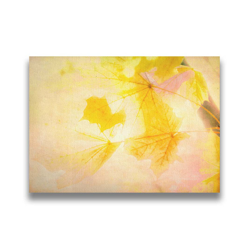 Golden Autumn Moment par Hal Halli. Impression sur papier - Montée et encadrée, H 40 po x l 52 po