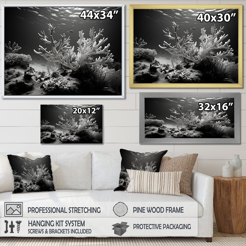 «Black and White Coral Anemone Kingdom V», reproduction d'art sur toile plage et océan, H 30 po x l 40 po x P 1,5 po