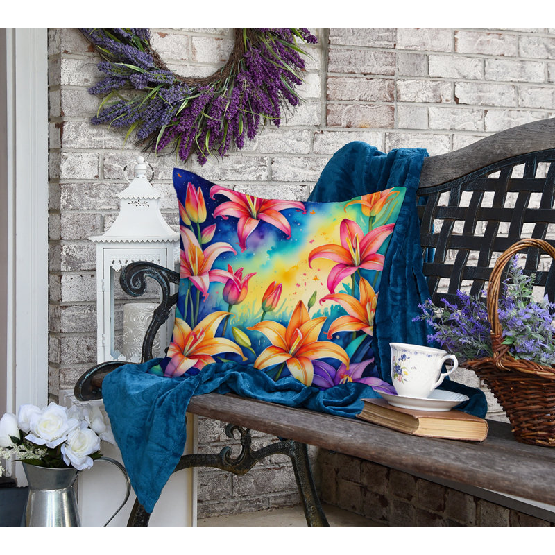 Other/No Pattern Outdoor Throw Pillow, 18" x 18"