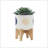 S/2 5/8" FUNKY PLANTER W/ STAND, WHITE
