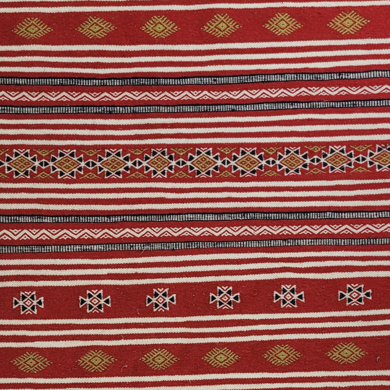Langione Area Rug