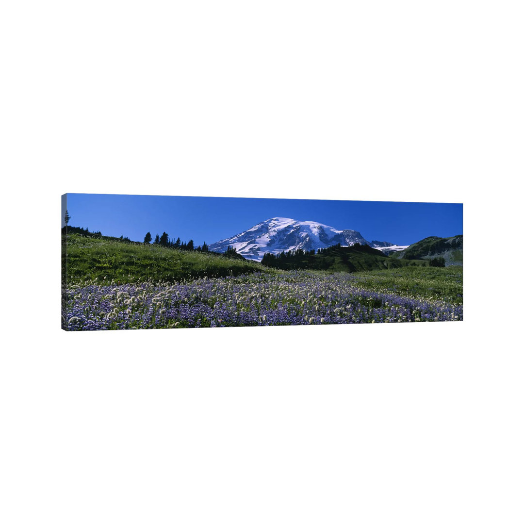 Wildflowers On A Landscape, Mt Rainier National Park, Washington State, USA - Wrapped Canvas Panoramic Print