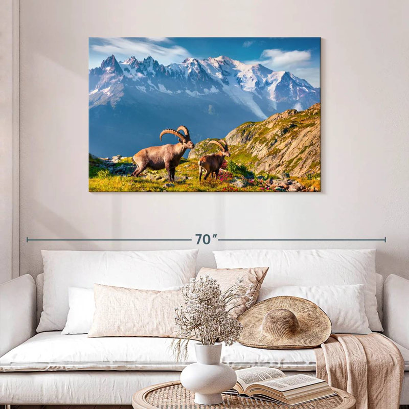 Bouquetin Alvord Mont Blanc, H 30 po x l 45 po