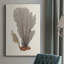 Toile tendue Knorr Shells & Coral III-2122268544