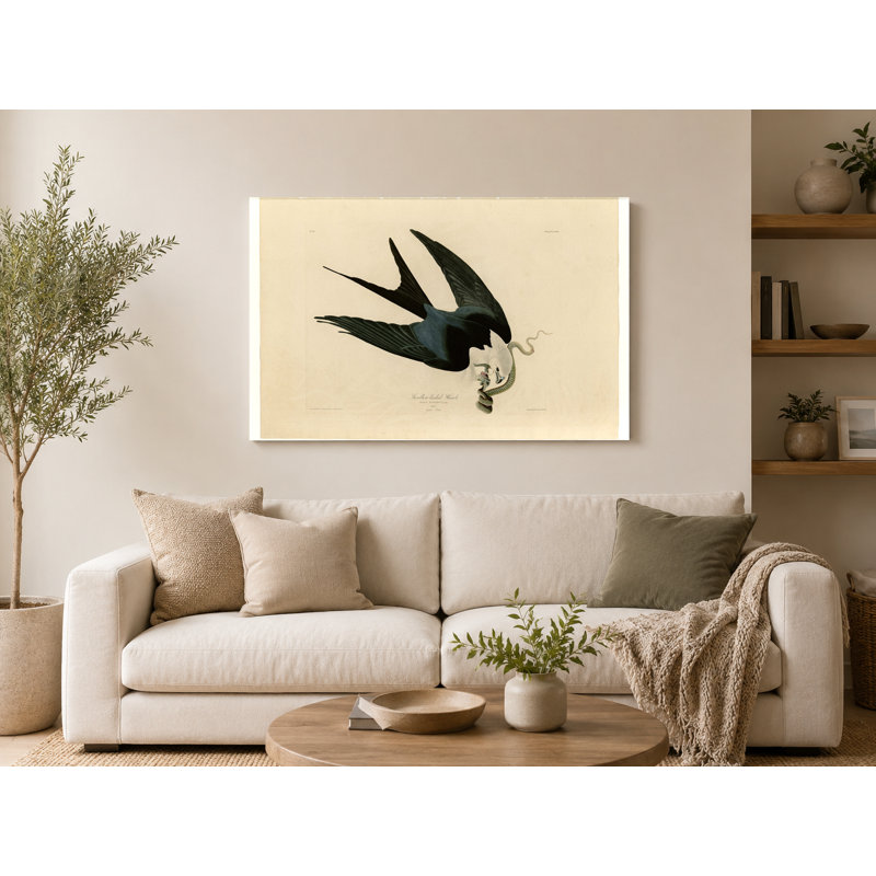 Fauve à queue d'hirondelle (plaque Lxxxi) - art mural sur toile paysage, 14" W x 11" H
