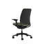 Steelcase Amia Ergonomic Task Chair-334359738-323515491-323515497