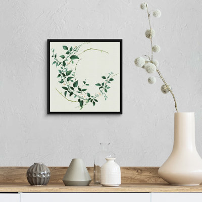 Toile délicate vigne