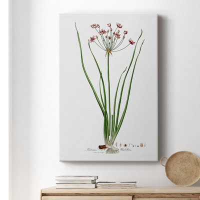 " Botanical II "